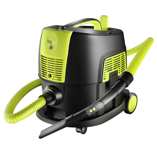 BigBoi SUCKRMINI bigboi