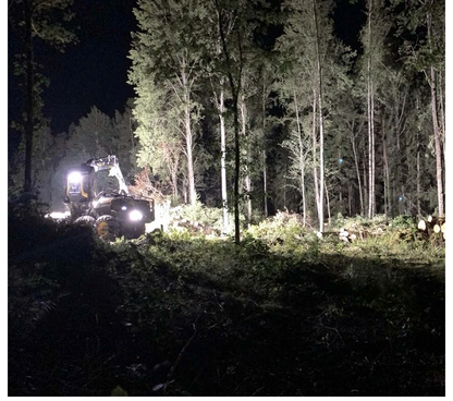 10-PACK SUPERVISION TEXAS 60W